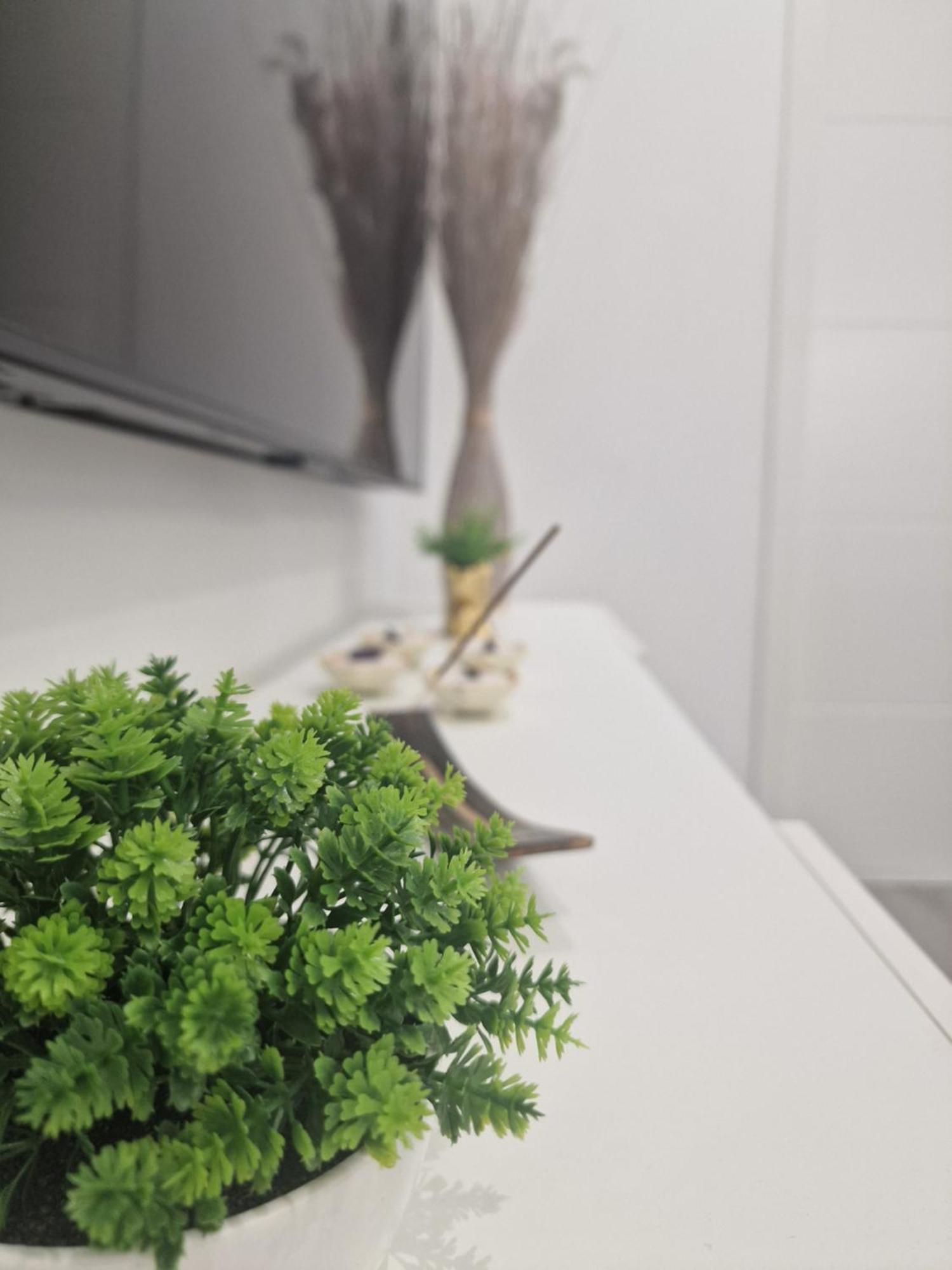 Appartement Barcelona, Apartamento De 1 Habitacion à L'Hospitalet de Llobregat Extérieur photo